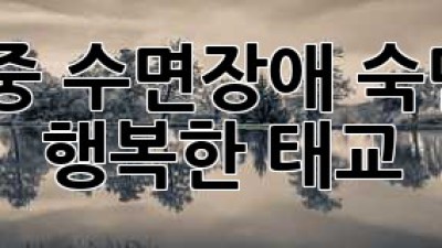 임신 중 수면장애, 숙면으로 행복한 태교